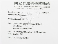 登錄號:F0019341藏品圖，第3張