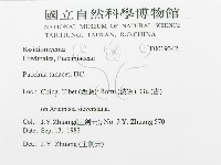 登錄號:F0019342藏品圖，第3張