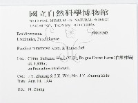 登錄號:F0019345藏品圖，第3張