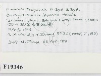 登錄號:F0019346藏品圖，第2張