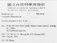 登錄號:F0019346藏品圖，第3張