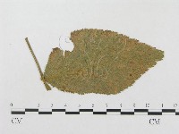 登錄號:F0019346藏品圖，第1張
