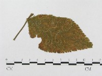 登錄號:F0019346藏品圖，第4張