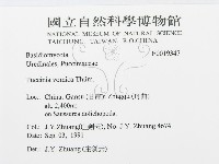 登錄號:F0019347藏品圖，第3張