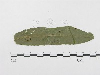 登錄號:F0019347藏品圖，第1張