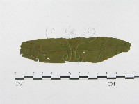 登錄號:F0019347藏品圖，第4張