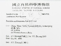 登錄號:F0019348藏品圖，第3張
