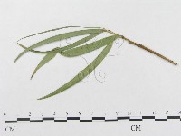 登錄號:F0019348藏品圖，第4張