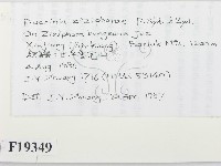 登錄號:F0019349藏品圖，第2張