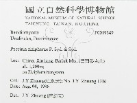 登錄號:F0019349藏品圖，第3張