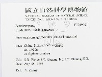 登錄號:F0019350藏品圖，第3張