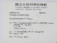 登錄號:F0019351藏品圖，第2張