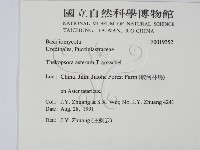 登錄號:F0019352藏品圖，第2張
