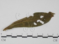 登錄號:F0019352藏品圖，第3張