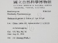 登錄號:F0019353藏品圖，第2張