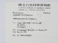館號:F0019354藏品圖，第2張
