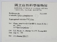 登錄號:F0019355藏品圖，第2張
