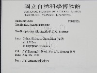 登錄號:F0019356藏品圖，第2張