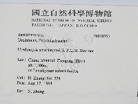登錄號:F0019357藏品圖，第2張
