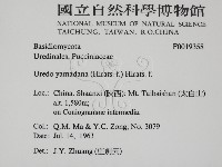 登錄號:F0019358藏品圖，第2張