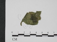 登錄號:F0019358藏品圖，第1張