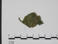 登錄號:F0019358藏品圖，第3張