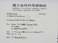 登錄號:F0019359藏品圖，第2張