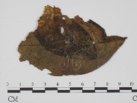 登錄號:F0019359藏品圖，第1張