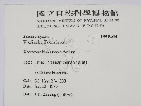 登錄號:F0019361藏品圖，第2張