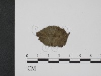 登錄號:F0019362藏品圖，第1張