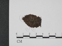 登錄號:F0019362藏品圖，第3張
