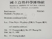館號:F0019363藏品圖，第2張