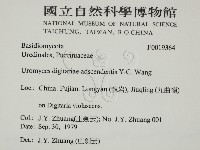 登錄號:F0019364藏品圖，第2張