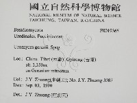 登錄號:F0019365藏品圖，第2張
