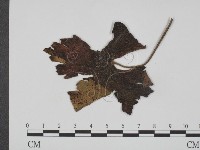 登錄號:F0019365藏品圖，第1張