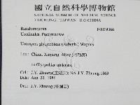 登錄號:F0019366藏品圖，第2張
