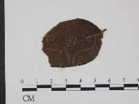 登錄號:F0019366藏品圖，第3張