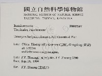 登錄號:F0019367藏品圖，第2張