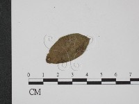 登錄號:F0019367藏品圖，第3張