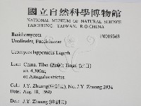 登錄號:F0019368藏品圖，第2張