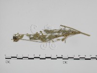 登錄號:F0019368藏品圖，第3張