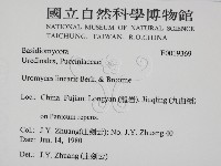 登錄號:F0019369藏品圖，第2張
