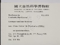 登錄號:F0019370藏品圖，第2張