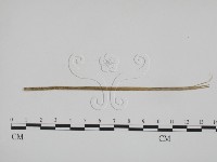登錄號:F0019370藏品圖，第3張