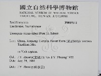 登錄號:F0019371藏品圖，第2張