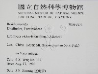 登錄號:F0019372藏品圖，第2張