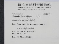 登錄號:F0019373藏品圖，第2張