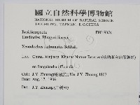 登錄號:F0019374藏品圖，第2張