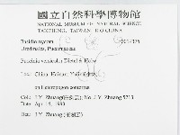 登錄號:F0019375藏品圖，第3張