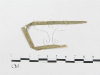 登錄號:F0019375藏品圖，第1張